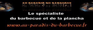 Vente de barbecue et plancha