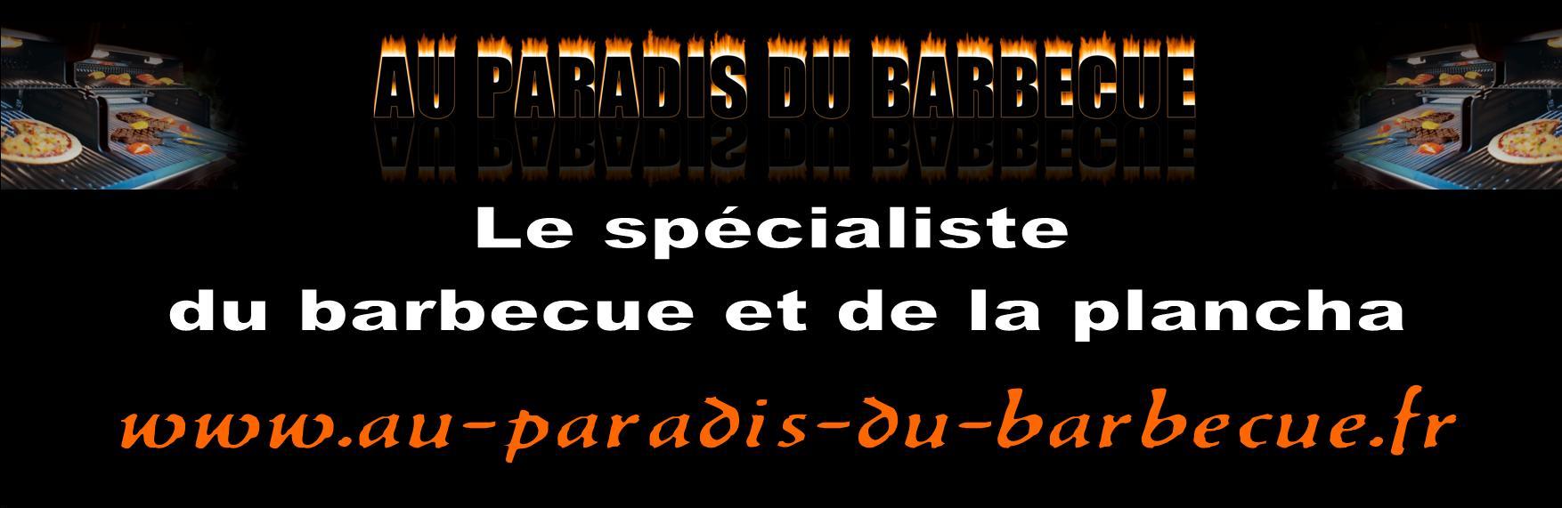 Vente de barbecue et plancha