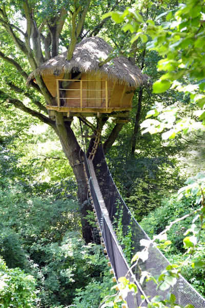 Cabane du Vieux Chêne