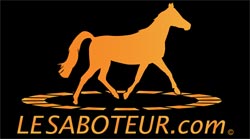 Lesaboteur.com