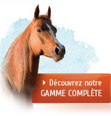 assurance pour chevaux