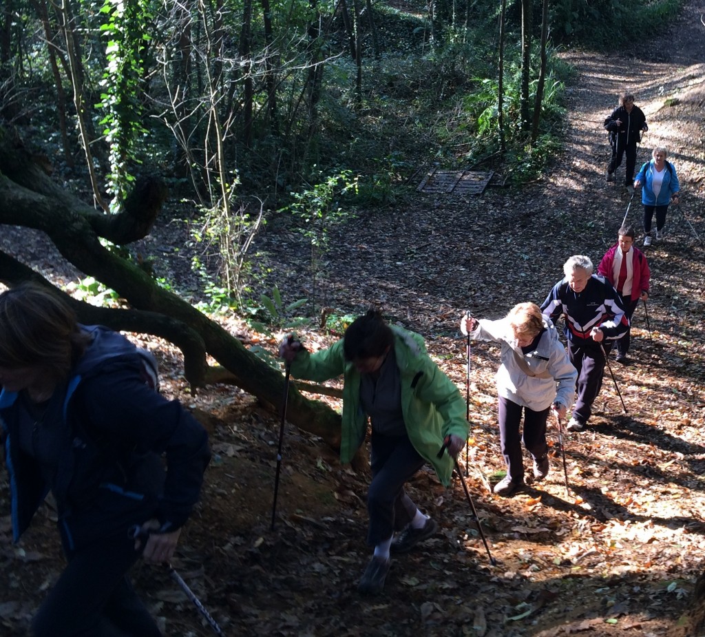 Marche sportive Gironde