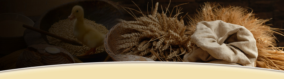 Vente de matériel agricole Charrue et broyeur