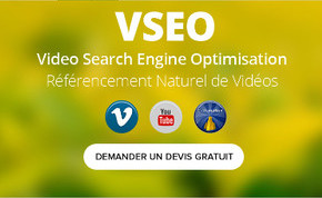 vseo-fr