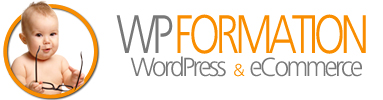 Formation WordPress