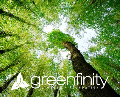 Lyoness-Greenfinity2