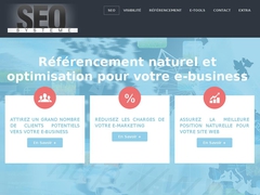 seo-systeme