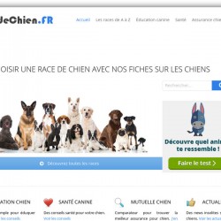 race de chien