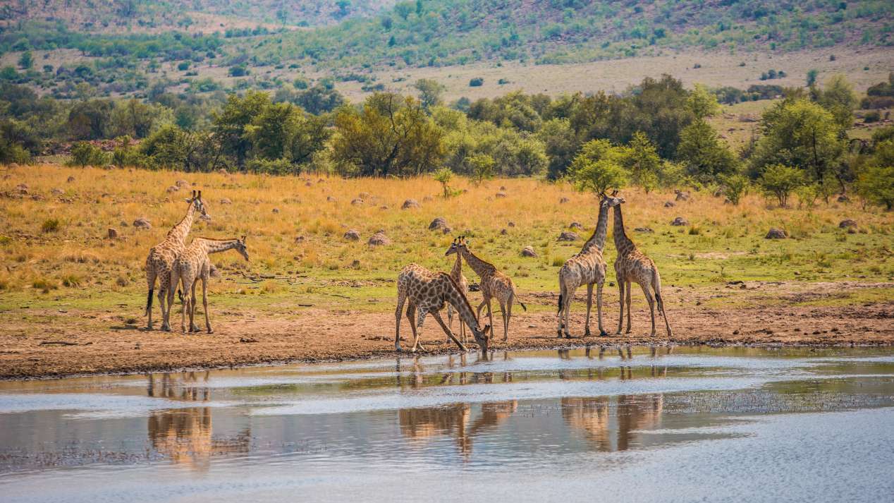 site de rencontre sud france
