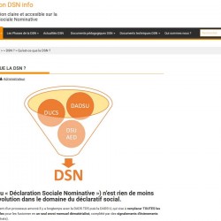 Déclaration Sociale Nominative